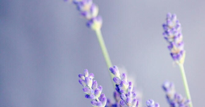 Feeling Stuck? How Acupuncture in Evanston Can Help You Find Clarity and Momentum