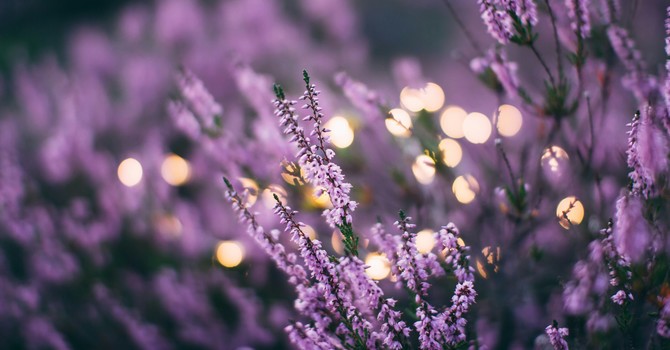 Boost Your Fertility: A 30-Day Holistic Guide image