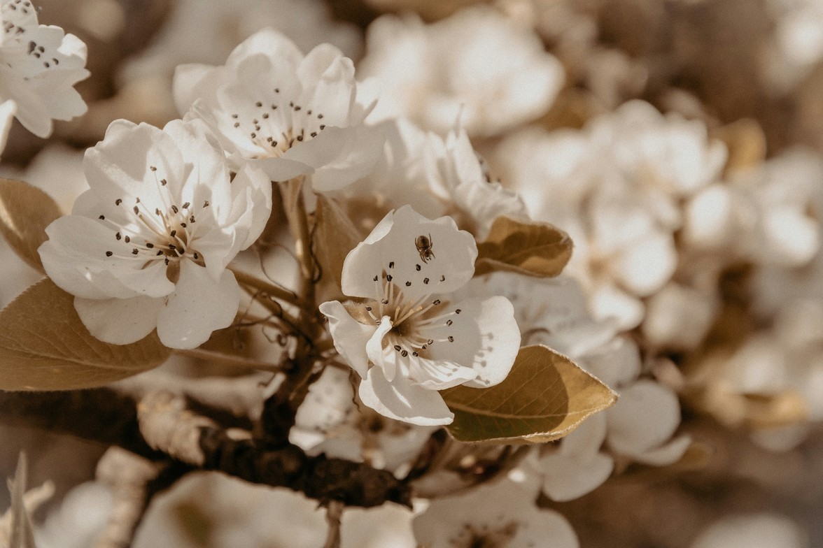 Acupuncture and lifestyle practices can support IVF success naturally.