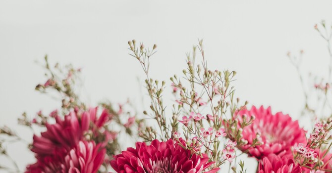 How to Prepare for IVF: The Holistic Approach image