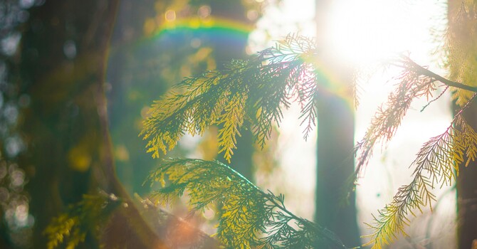 Acupuncture for Perimenopause Symptoms – A Holistic Approach image