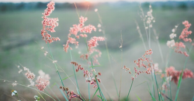 Acupuncture for Mood and Sleep in Perimenopause image