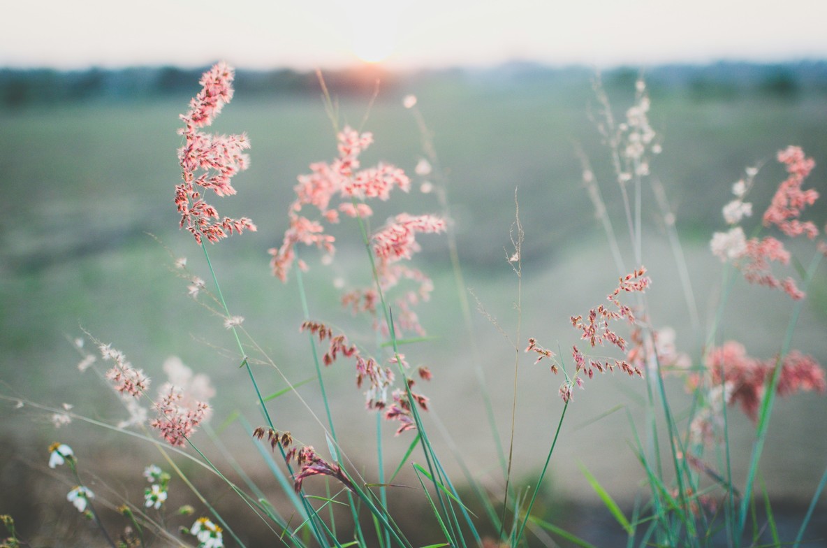 Struggling with mood swings or insomnia during perimenopause? Learn how acupuncture, herbal medicine, and supplements like adaptogens and magnesium can restore balance and support restful sleep in Evanston, IL.
