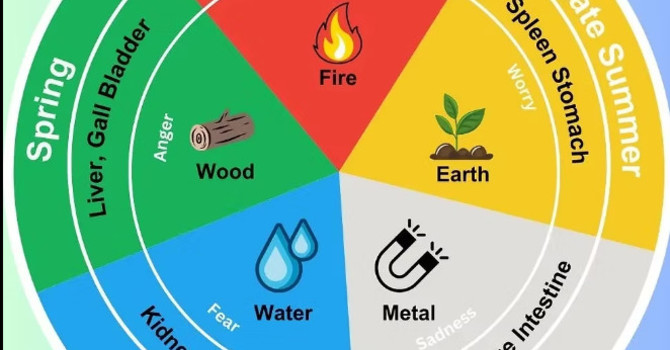 Fear, Fatigue, and the Kidneys: Why Winter Anxiety Isn’t a Personal Failing