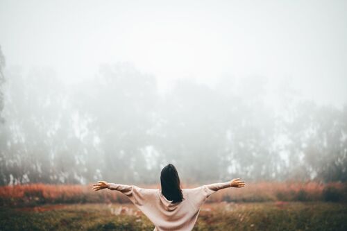 Lisa Meyerson