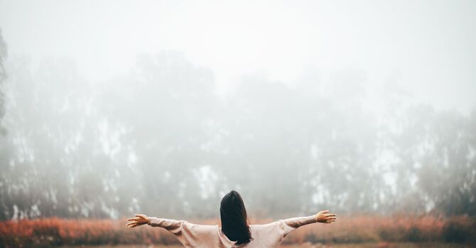Feeling Stuck? How Acupuncture in Evanston Can Help You Find Clarity and Momentum