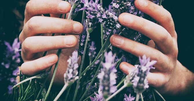 Feeling Stuck? How Acupuncture in Evanston Can Help You Find Clarity and Momentum